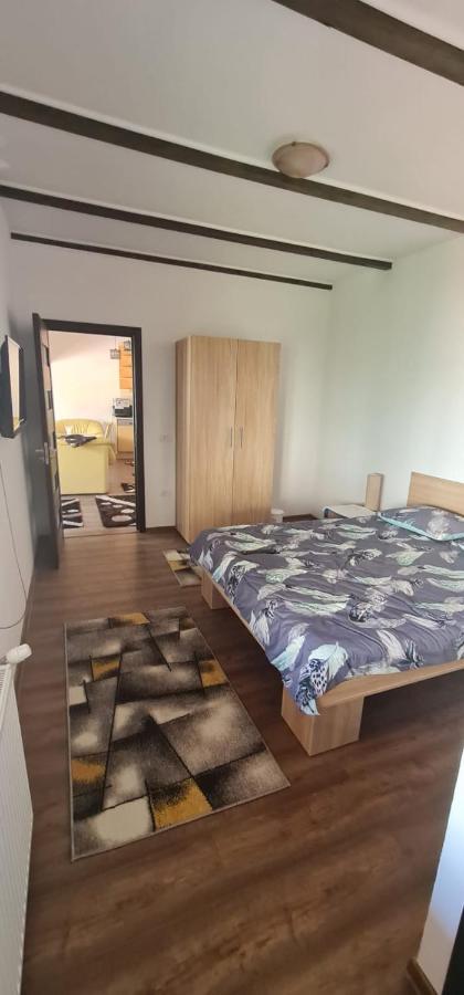 La Ovi Hotel Fagaras Bagian luar foto